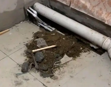 宁陵卫生间漏水检测哪家好